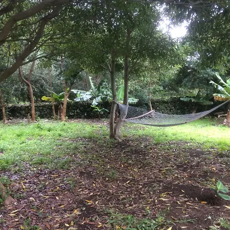 Vivenda Ferraz Farm stay