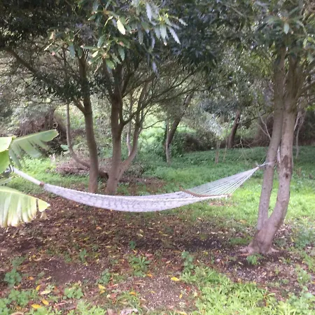 Farm stay Vivenda Ferraz Agua de Pau
